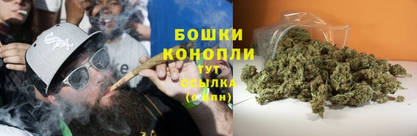 прущие грибы Балахна