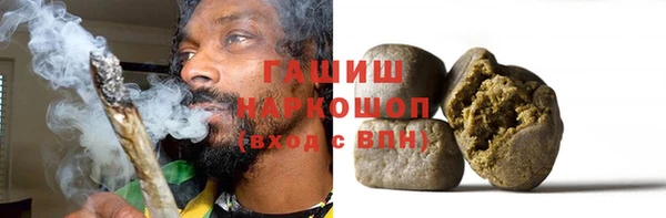 прущие грибы Балахна