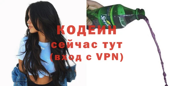 прущие грибы Балахна