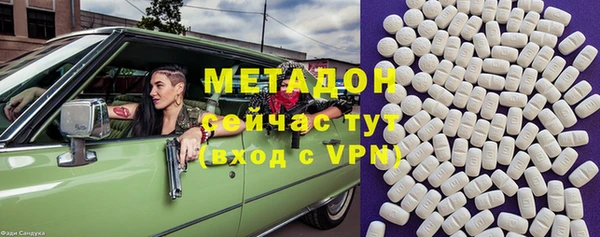 прущие грибы Балахна