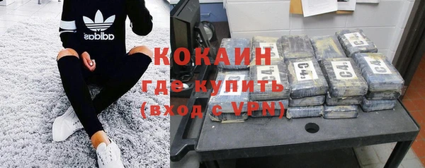 прущие грибы Балахна