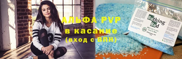 прущие грибы Балахна