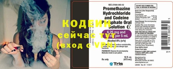 прущие грибы Балахна