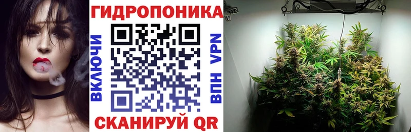 блэк спрут   Старая Русса  Канабис Bruce Banner 